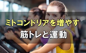 ミトコンドリアを増やす３つの筋トレと運動＆コツや注意点