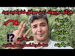 چرا با هر روشی پیوند میزنید موفقیت آمیز نیست 😨 رازی که از شما پنهان کردند چیست