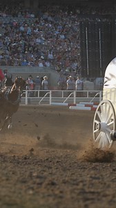 19K views · 480 reactions | It's the last day of the 2024 Cowboys Rangeland Derby and it's a battle between the veterans! Who will take home the title of Calgary Stampede Champion? | Calgary Stampede | Facebook