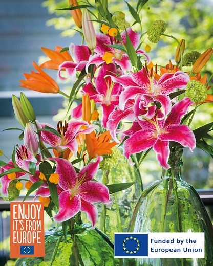 Dear Flower Farmers, we have a Lily Growing Master Class for you, available in three languages, Spanish, Hmong and English! Click on the link to download the free course: https://flowerbulb.eu/summer-flowering-bulbs/lily-grower/ | Flowerbulbs.com | Facebook