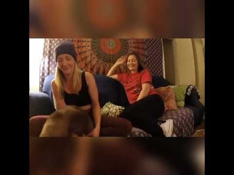 Between_Two_Bushes_with_Dani_Daniels_-_Karla_Kush
