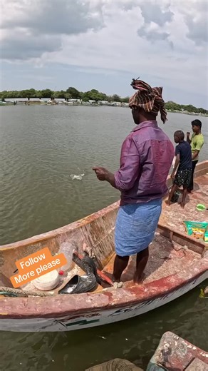 Easy Mullet Fishing Techniques