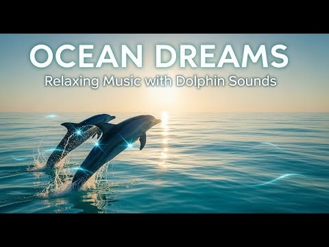 Soothing Dolphin Sounds | Relaxing Ocean Ambience for Deep Calm