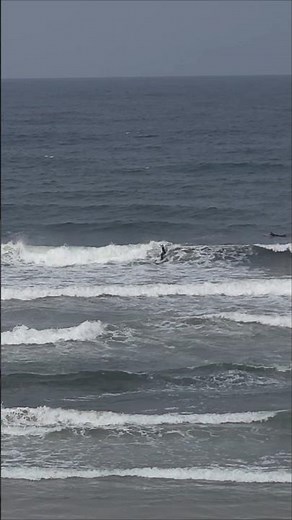 2026.03.31 Let's go surfing! (1)
