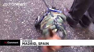 33K views · 493 reactions | no comment | Dogs, cats, birds and even guinea pigs in Madrid don their best outfits to be blessed for Saint Anthony's day. | Euronews English | Facebook