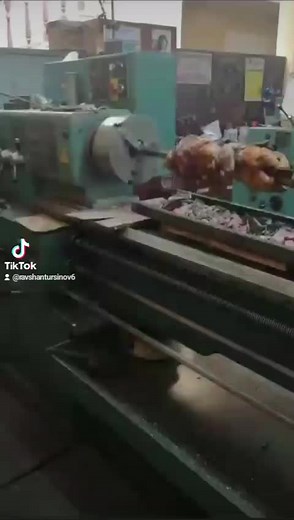 Roasting Chicken on a Spit: Industrial Cooking Process