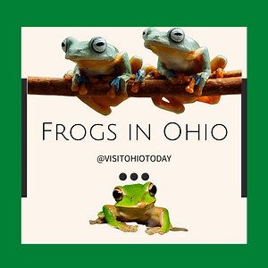 Frogs in Ohio