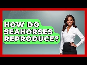 How Do Seahorses Reproduce? - The Marine Life Explorer