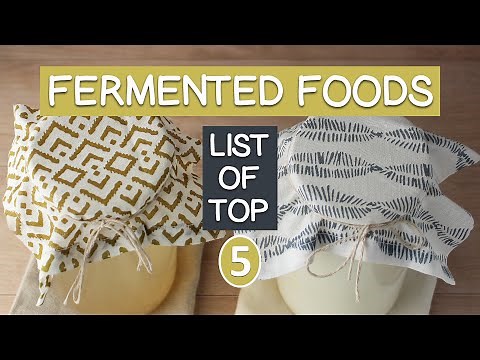 Top 5 List of Fermented Foods for the Gut Microbiome and Superior Digestion