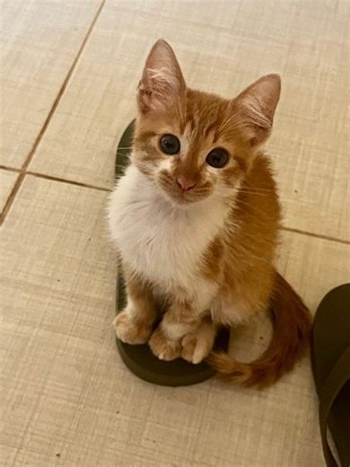 Héctor Lozzca on Reels