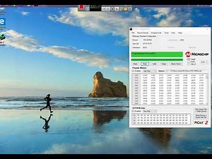 Programando PIC16F84A con servomotor en PBP(Microcode Studio)