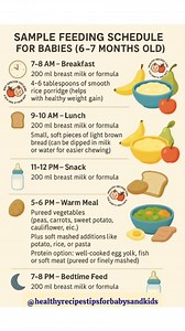 818K views · 1.7K reactions | Feeding Timetable For 6 To 12 Month's Old Baby. #development #feeding #timetable #healthybaby #homemadefood #fblifestyle #viral #reels | Healthy Recipes Tips For Baby's And Kid's. | Facebook