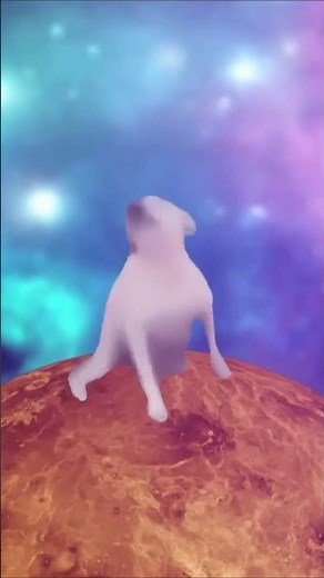 Dancing dog - Shooting stars #memes #dog #space #short