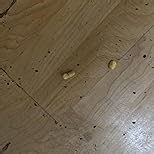 Kellogg's Corn Pops Breakfast Cereal, Kids Cereal, Family Breakfast, Family Size, Original, 16.4oz Box (1 Box) (Pack of 2)