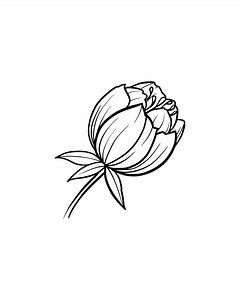 Peony Flower SVG | Vector Cut File for Cricut, Silhouette (digital Download) - Etsy UK
