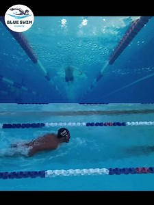 Butterfly 😍 #swimtime #swimming #swimmingfun #swimmingpool #blueswim #swimmingcoach #swimmerlife #swimmingfun #swimtime #swimmingtime #swimming #swimminglessons #swimmingpool #swim #swimmingday | Blue Swim