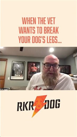 Comedian Brian Posehn’s vet had a radical solution to his dogs odd gait. #dogwalk