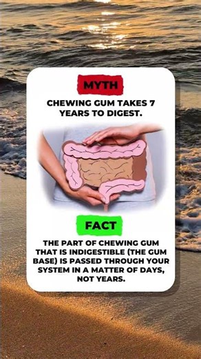 Gum Stays 7 Years ⏳❌ #myth #fact #truth #false