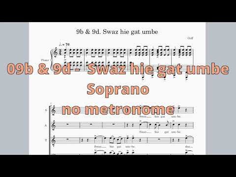 S - 09d Swaz hie gat umbe