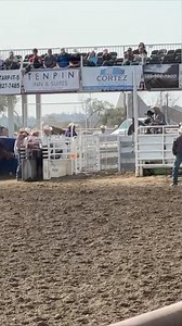 47K views · 754 reactions | Just Dustin Egusquiza and Levi Lord doing Dustin and Levi things  The Resistol men won Washington’s Moses Lake Round-Up Rodeo with a 4.1-second run for $5,221 a man. Add that to the $2,363 they won for first in Burley, Idaho, and $3,439 in Round 2 in Caldwell, and they had themselves an $11,023 weekend. | The Team Roping Journal Magazine | Facebook