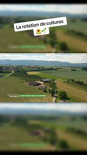 Le saviez-vous? 🧐 En Suisse il n'y a pas de monoculture. ☝️ Les familles paysannes de notre pays pratiquent ce que l'on appelle la rotation des cultures. 🌽🌾🌻 Deux agriculteurs vous expliquent ce que cela signifie et quels sont les avantages. 🧑‍🌾💚 #agriculture #Suisse #biodiversité #nature