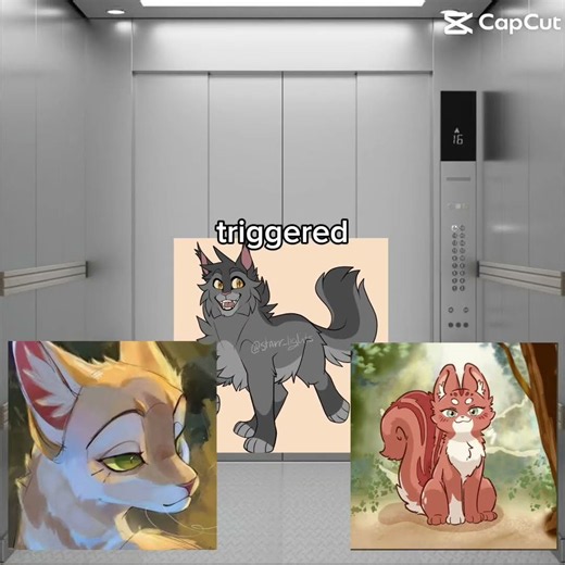 Graystripe whyy?#warriorcats#cat#warriors#capcut #funny#foryou#fypシ゚viral#meme#foryoupageシ#shorts
