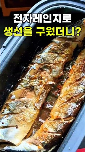 Microwave-Safe Lidded Grill Pan That Even Grills Fish