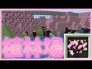 マイクラ1.20 簡単に誰でも作れる！桜系の苗木自動回収植林場！【ゆっくり解説】【minecraft】【マインクラフト】【ゆっくり実況】