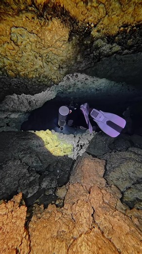 Can you spot the guideline? #caveexploration #cavediving #exploring #cenote #look