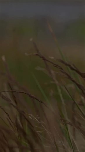 SUNDAY, NOVEMBER 30, from 12-7PM. Sunspel invites you to a special whisky tasting at the shop, celebrating a collaboration founded on shared commitments to quality and modern craftsmanship. Sunspel partnered with The Isle of Harris Distillery to select an exclusive cask of The Hearach, bottled specifically for Sunspel. Join us for this high-value tasting and experience the definitive blend of British authenticity. Made on the Isle of Harris using pure Hebridean water and matured for seven years 