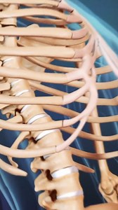 45K views · 293 reactions | Need relief from spinal compression fractures?  Learn what a vertebroplasty procedure is, how it works, and who it helps! 領 This quick guide explains the benefits, recovery, and what to expect during this minimally invasive treatment. #Vertebroplasty #SpineHealth #BackPainRelief #BoneFracture #MinimallyInvasive #Osteoporosis 易 | Spine-health | Facebook