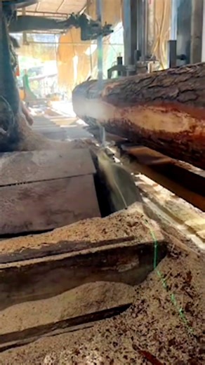#sawmill #loglumder Sawmill