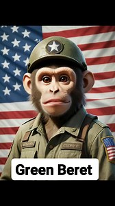 Green Beret | Ricky Gibson