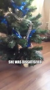 Cat Destroys Christmas Tree Without a Hint of Regret #CatLife #PetAdventures #FunnyPets #PetFails #Christmas #CaughtOnCamera #TrendingNow #ViralVideo | Animals Behavior