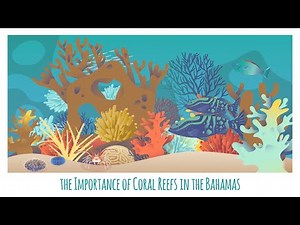 Highlighting the Importance of Coral Reefs in the Bahamas (NGO animation explainer video)