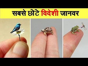 Top 10 Most Smallest Animals In The World