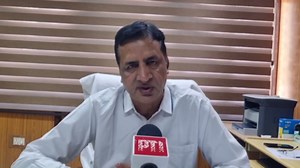 India's First Zanskari Horse Foal Birthed Through Embryo Transfer