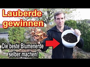 Making leaf compost - composting leaves easily without much effort - instructions