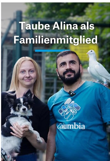 Tauben als Familienmitglieder: Eine skurrile Perspektive