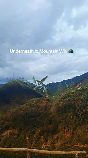 The best of village 💯 Pork Meat 😋 | Mangi Last Percy