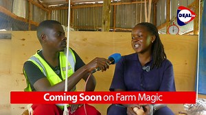 Poultry Farming Insights with Mugagga Breeders