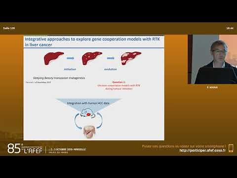Récepteurs à activité Tyrosine Kinase dans la tumorigenèse hépatique - F. Maina