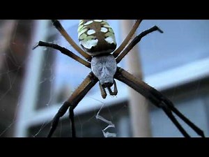 Version 1.4 is Here!