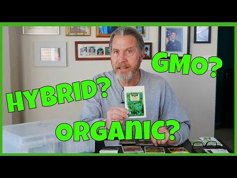 GMO, Hybrid, Heirloom, & Organic Seeds - Understanding the differences
