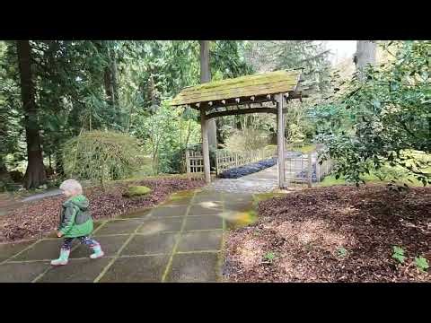 Bloedel Reserve: An Artistic Landscape Maintained As A Natural Tapestry