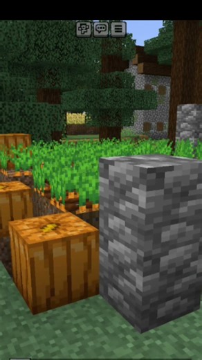 Laggy village #minecraft