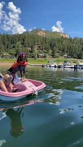 2.2K reactions · 111 shares | Sailing away with my human and sounding my fog horn! This was in Colorado back in 2021 while filming “Road Dogs” for @dogtv ! That’s my friends @derbycalifornia , @kentuckygallahue , @lucyriles ,and Duchess in the other boat!   ️ #boatdog #colorado #dogtv @rexspecsk9 #rexspecs #dog #dogs #dogslife #bluetickcoonhound #foghorn #boating | Dixie The Praying Dog | Facebook