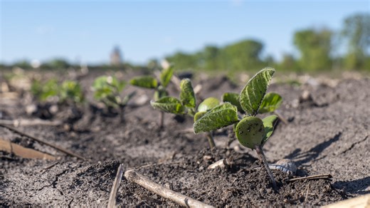 Young Farmer Programs - farmdoc