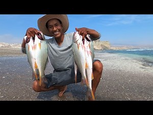 Look! How We Catch Corvina with an Invisible Net | Amazing Corvina Fishing