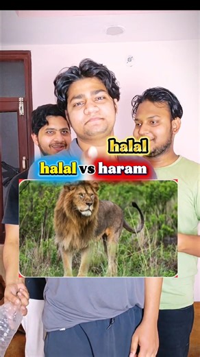 guess the animal halal vs haram challenge#funny#shortsviral #shortsyoutube#haramvshalal #shortsfeed